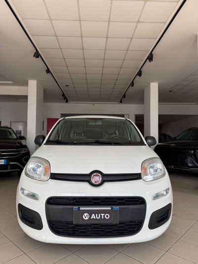 Fiat Panda 1.0 FireFly S&S Hybrid usata