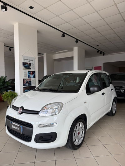 Fiat Panda 1.0 FireFly S&S Hybrid (2)