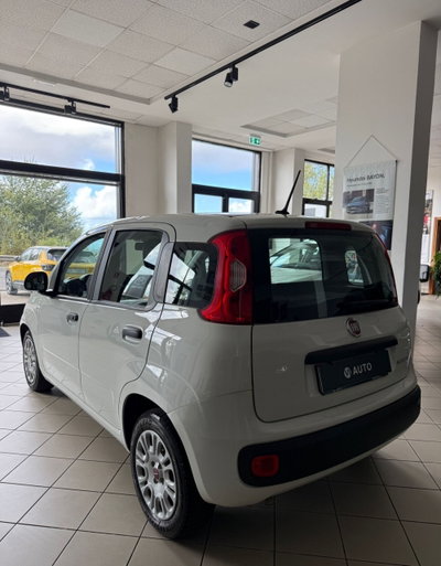 Fiat Panda 1.0 FireFly S&S Hybrid (5)
