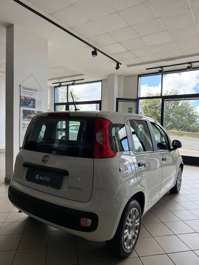 Fiat Panda 1.0 FireFly S&S Hybrid (6)