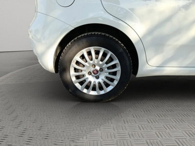 Fiat Punto 1.3 MJT II S&S 95 CV 5 porte Lounge (14)