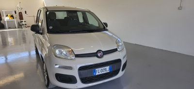 Fiat Panda 1.2 Lounge usata