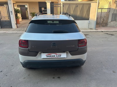 Citroen C4 Cactus BlueHDi 100 Rip Curl (11)