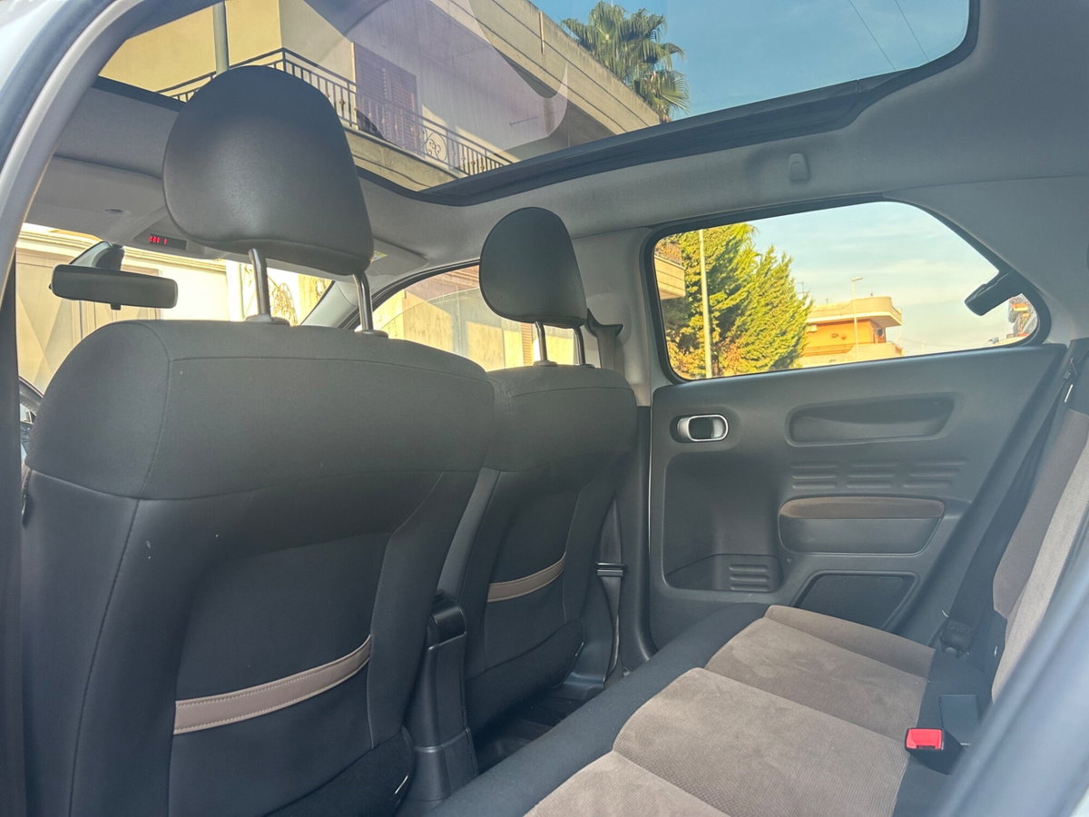 Citroen C4 Cactus BlueHDi 100 Rip Curl (19)