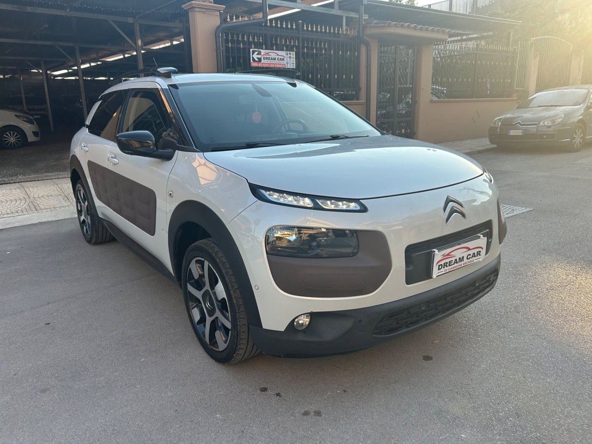 Citroen C4 Cactus BlueHDi 100 Rip Curl (8)