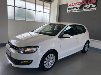 Volkswagen Polo 1.2 5 porte United usata