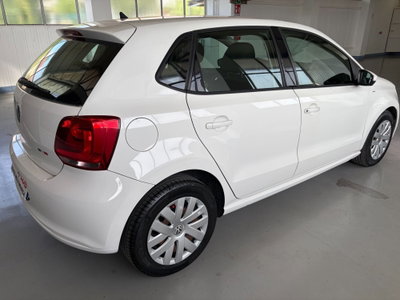Volkswagen Polo 1.2 5 porte United (5)