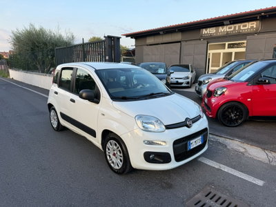 Fiat Panda 1.2 EasyPower Pop usata