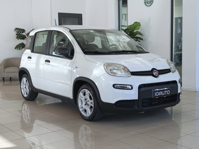Fiat Panda 1.0 FireFly S&S Hybrid (3)