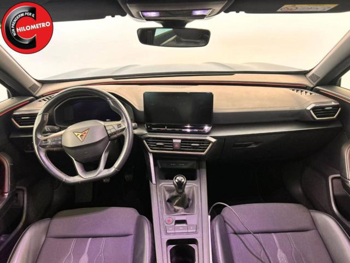 Cupra Formentor Formentor 2.0 TDI (10)