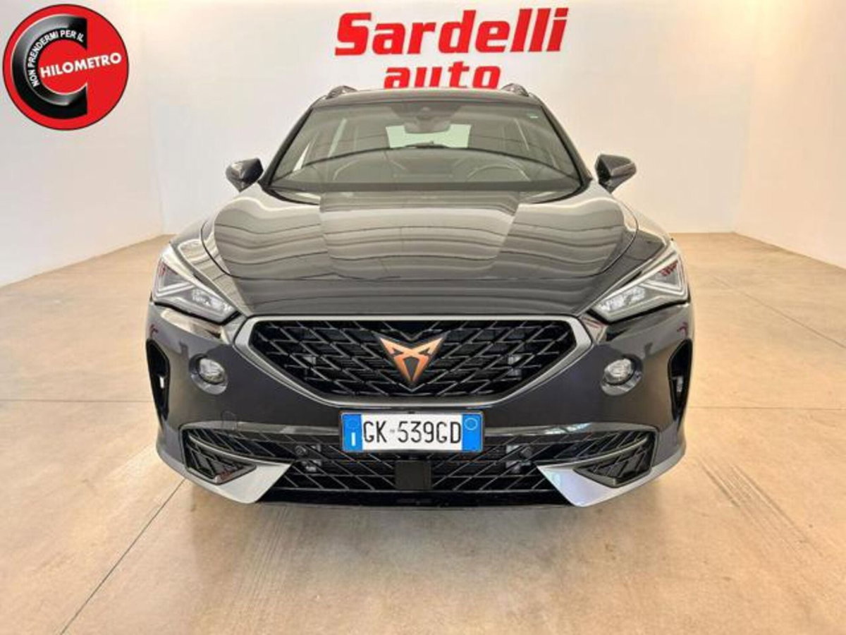 Cupra Formentor Formentor 2.0 TDI (5)