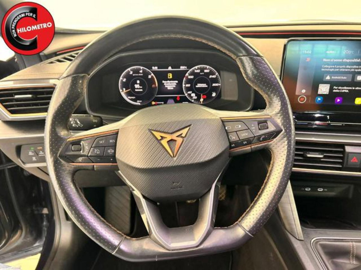 Cupra Formentor Formentor 2.0 TDI (9)