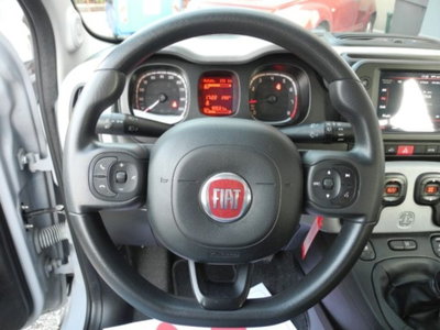 Fiat Panda Cross 1.0 firefly hybrid Cross s&s 70cv 5p.ti (5)