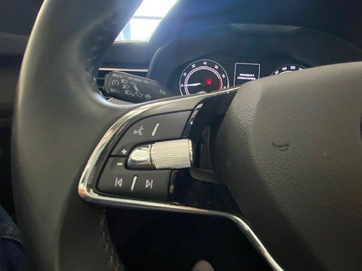Skoda Kamiq 1.0 TSI 110 CV DSG Style (18)