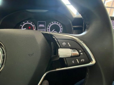 Skoda Kamiq 1.0 TSI 110 CV DSG Style (19)