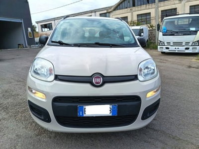 Fiat Panda 1.2 Easy (3)