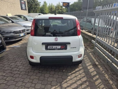 Fiat Panda 1.0 firefly hybrid s&s 70cv 5p.ti (3)