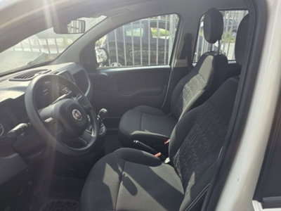 Fiat Panda 1.0 firefly hybrid s&s 70cv 5p.ti (7)