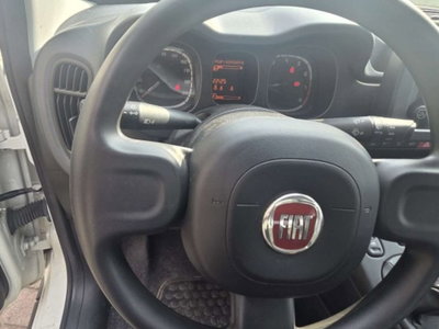 Fiat Panda 1.0 firefly hybrid s&s 70cv 5p.ti (8)