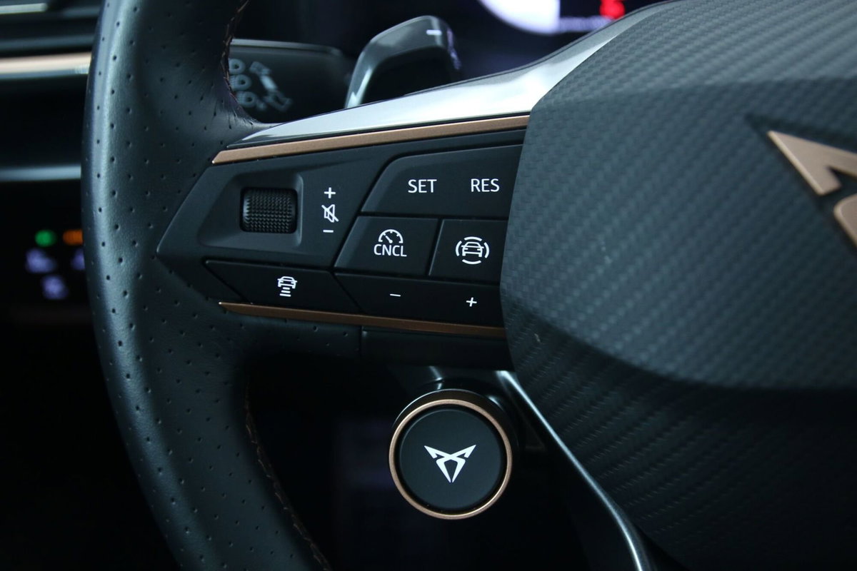 Cupra Leon Leon 2.0 tdi 150cv dsg (17)