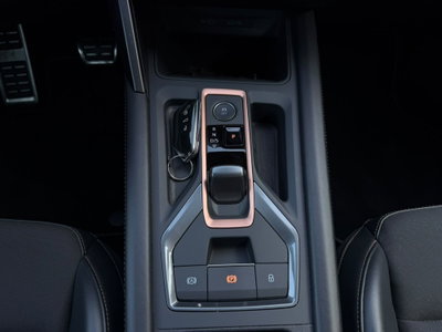 Cupra Formentor Formentor 2.0 tdi 4drive 150cv dsg (12)