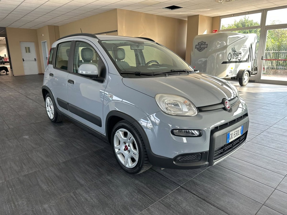 Fiat Panda 1.0 FireFly S&S Hybrid City Cross (3)