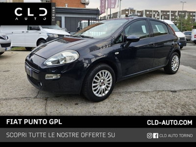 Fiat Punto 1.4 8V 5 porte Easypower Street usata