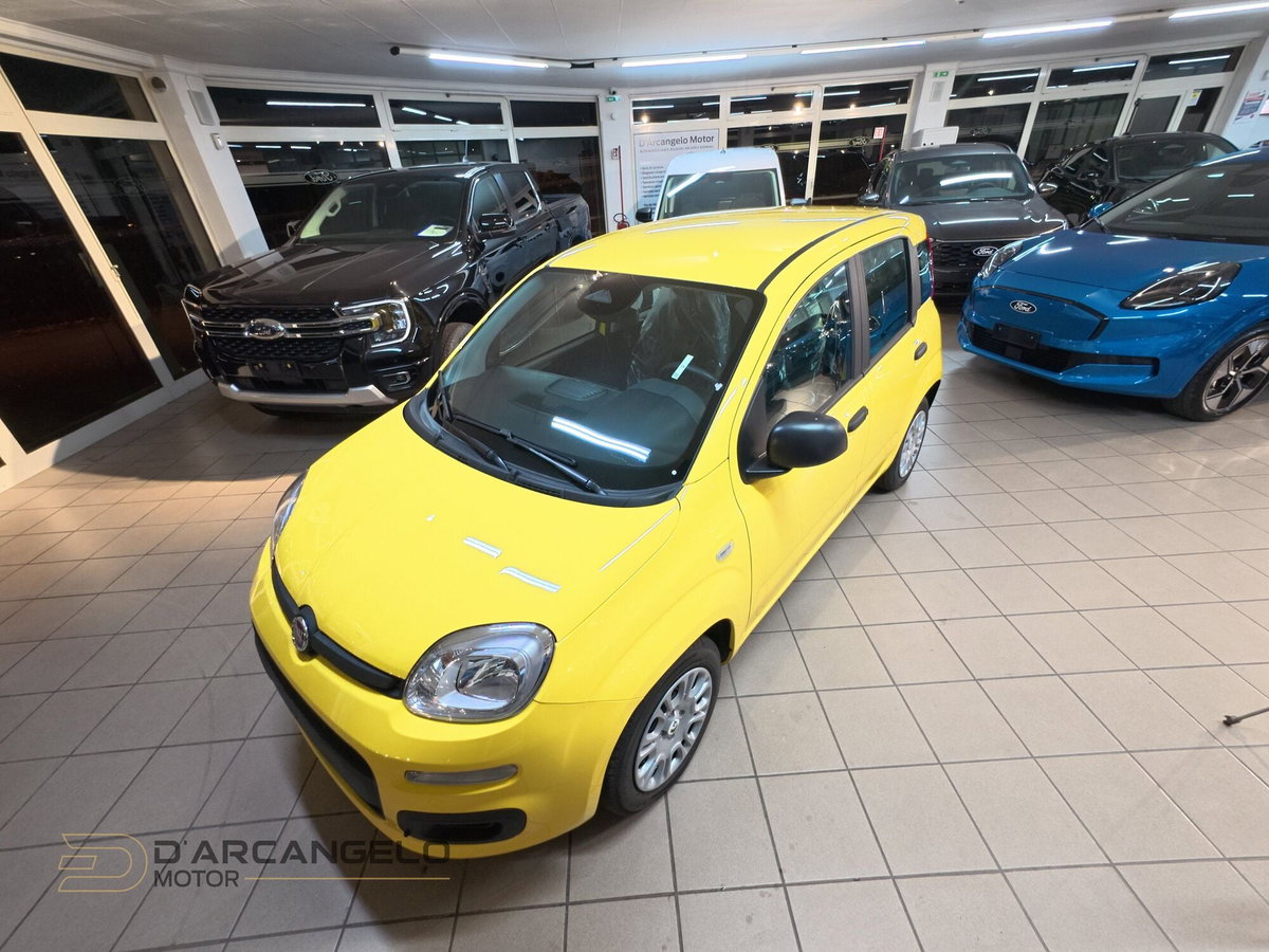 Fiat Panda Cross Cross 1.0 FireFly S&S Hybrid (8)