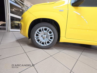 Fiat Panda Cross Cross 1.0 FireFly S&S Hybrid (9)