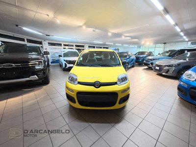 Fiat Panda Cross Cross 1.0 FireFly S&S Hybrid (2)