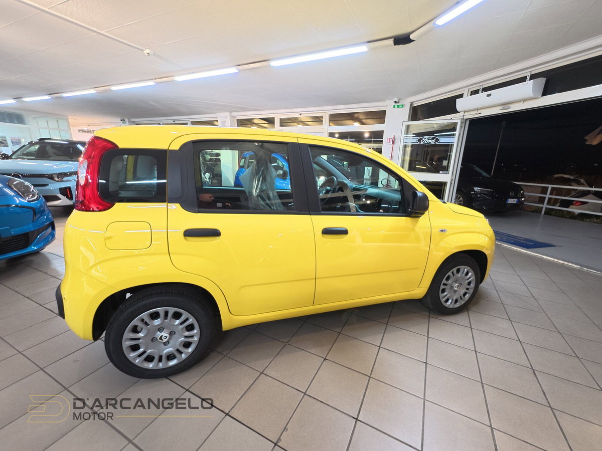 Fiat Panda Cross Cross 1.0 FireFly S&S Hybrid (6)
