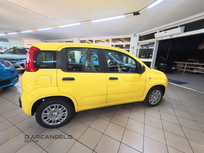 Fiat Panda Cross Cross 1.0 FireFly S&S Hybrid (6)