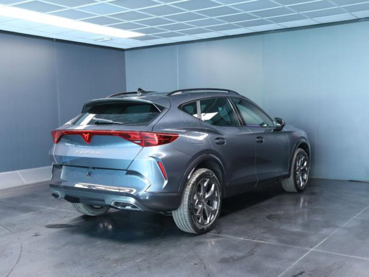 Cupra Formentor 1.5 hybrid 150cv dsg (3)