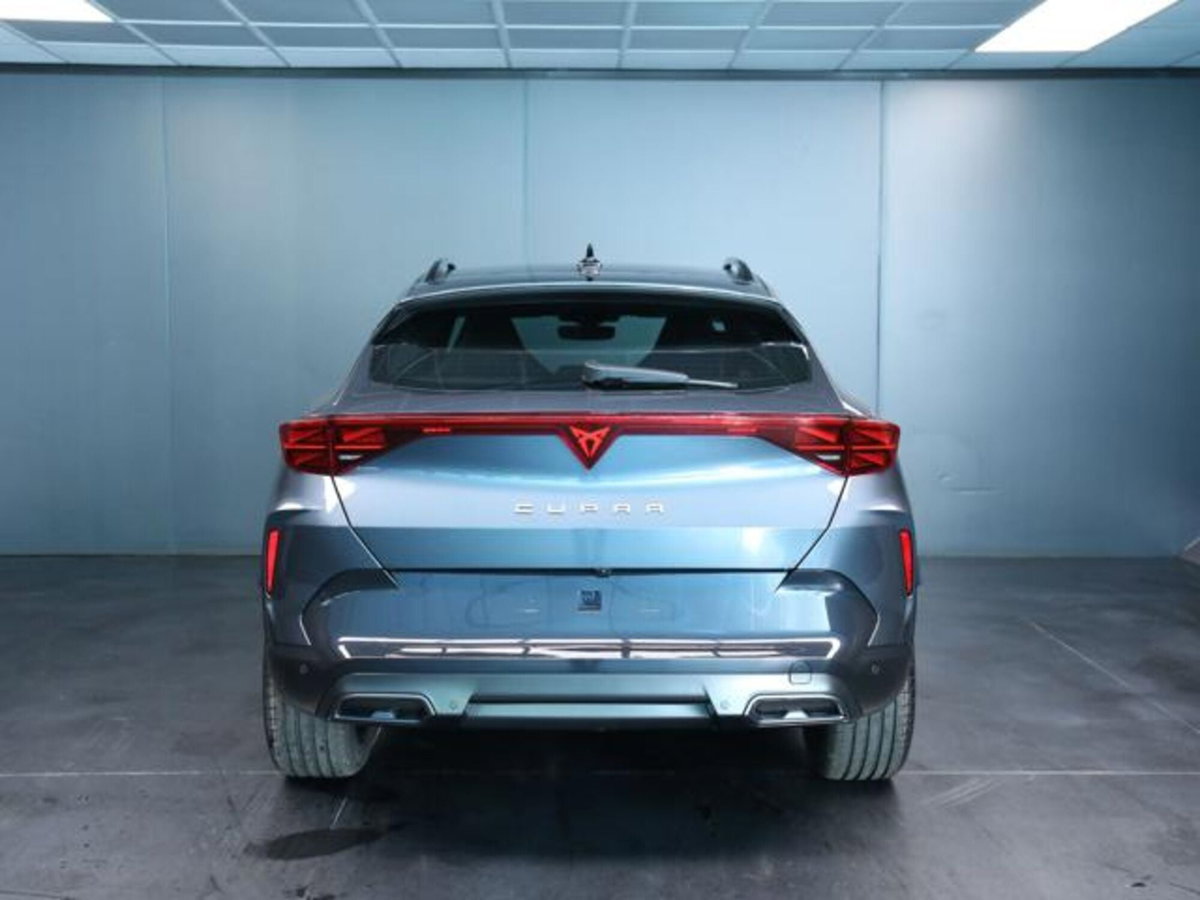 Cupra Formentor 1.5 hybrid 150cv dsg (4)