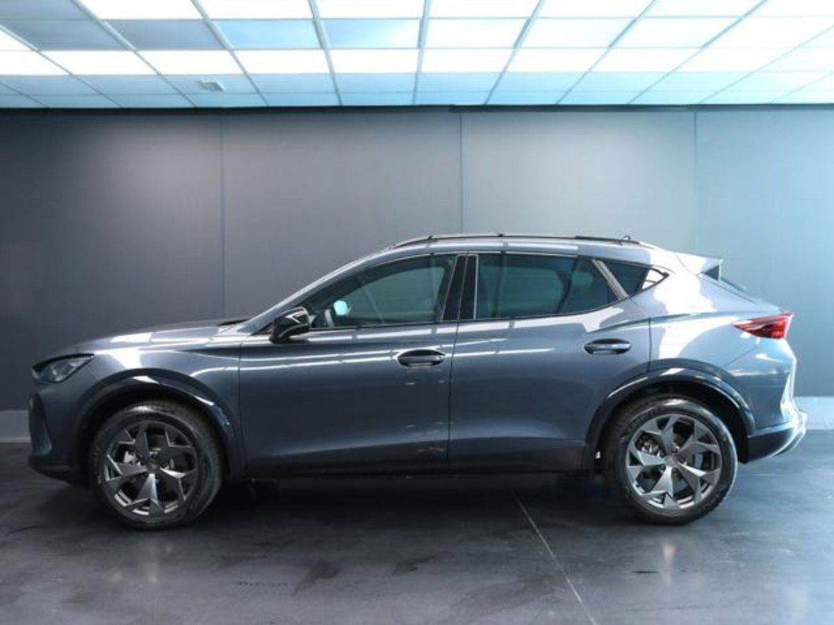 Cupra Formentor 1.5 hybrid 150cv dsg (5)