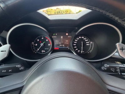 Alfa Romeo Stelvio Stelvio 2.2 Turbodiesel 190 CV AT8 Q4 Super Business (15)
