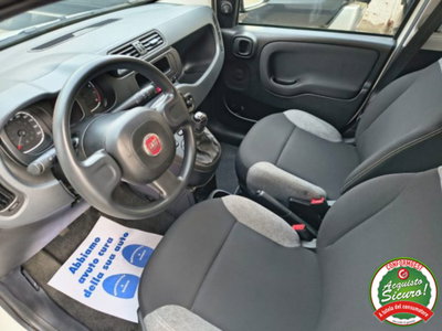Fiat Panda 1.0 firefly hybrid s&s 70cv 5p.ti (12)