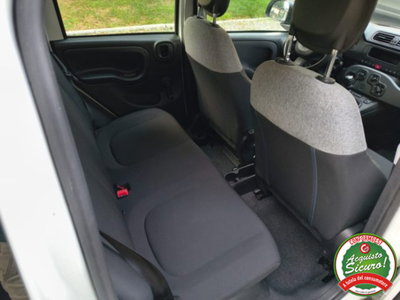 Fiat Panda 1.0 firefly hybrid s&s 70cv 5p.ti (15)