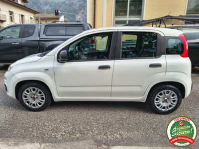 Fiat Panda 1.0 firefly hybrid s&s 70cv 5p.ti (4)