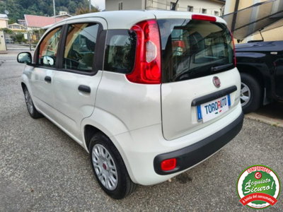 Fiat Panda 1.0 firefly hybrid s&s 70cv 5p.ti (5)