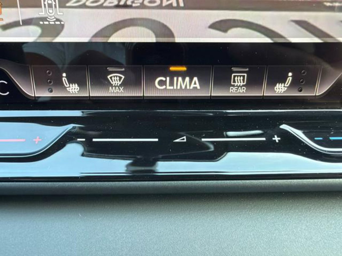 Cupra Terramar 1.5 hybrid 150cv dsg (12)