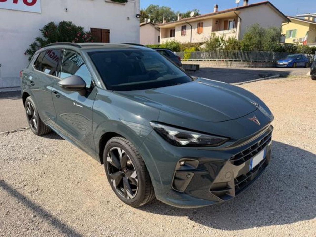 Cupra Terramar 1.5 hybrid 150cv dsg (2)