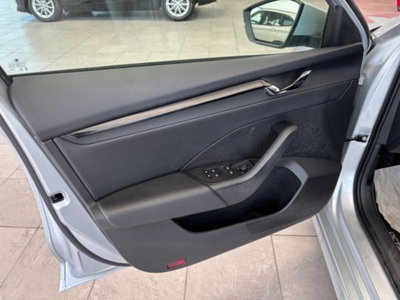 Skoda Octavia 2.0 TDI EVO SCR 150 CV DSG Executive (7)