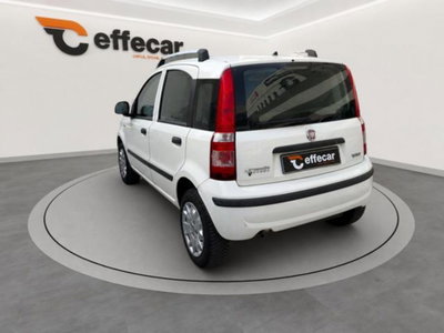 Fiat Panda 1.2 Dynamic Natural Power (4)