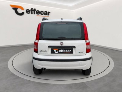 Fiat Panda 1.2 Dynamic Natural Power (5)