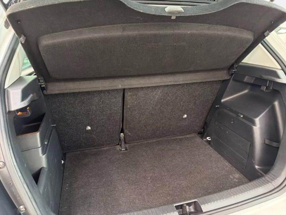 Skoda Fabia 1.4 TDI 75 CV Executive (14)