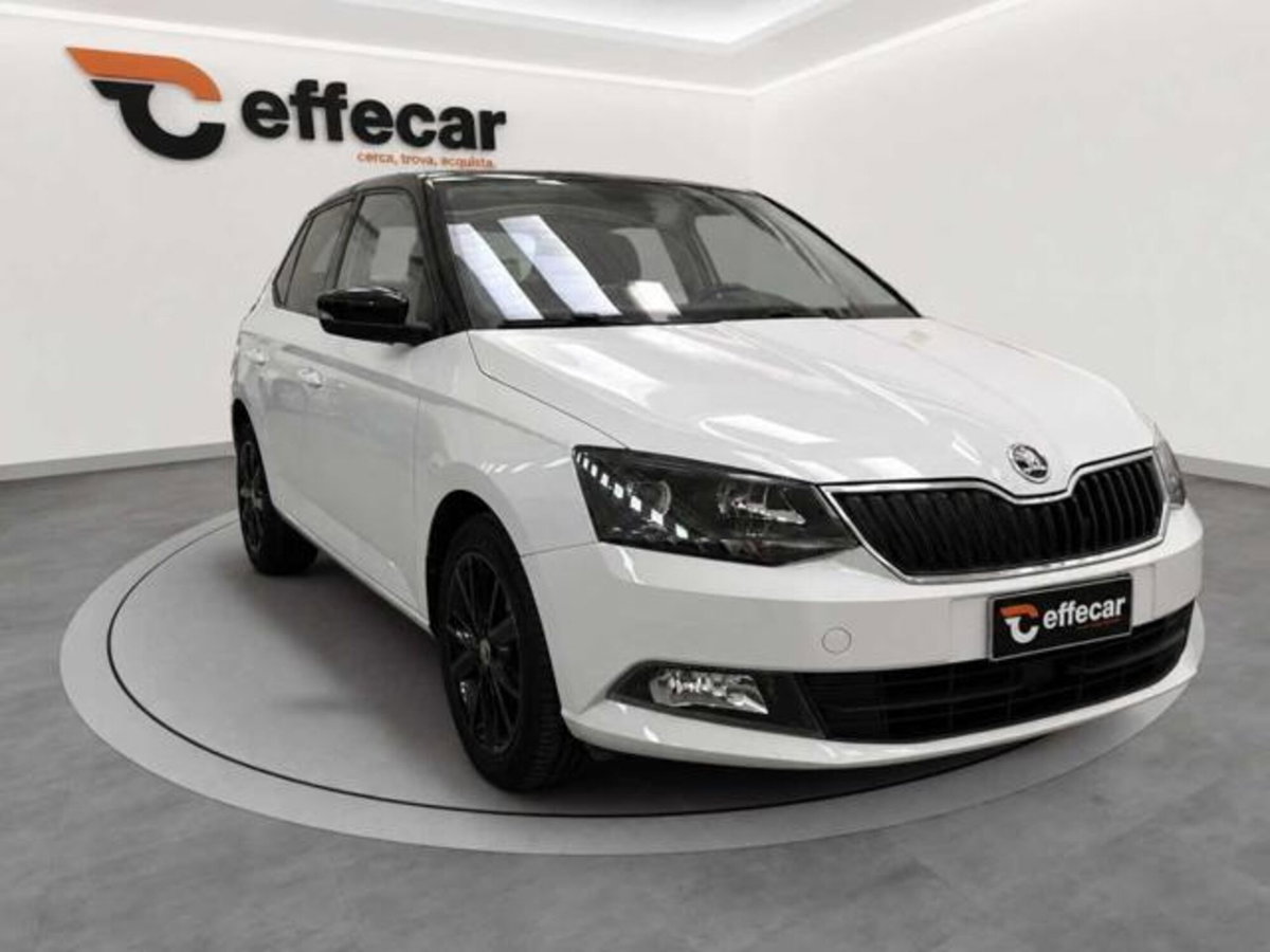 Skoda Fabia 1.4 TDI 75 CV Executive (3)