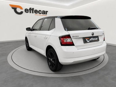 Skoda Fabia 1.4 TDI 75 CV Executive (4)