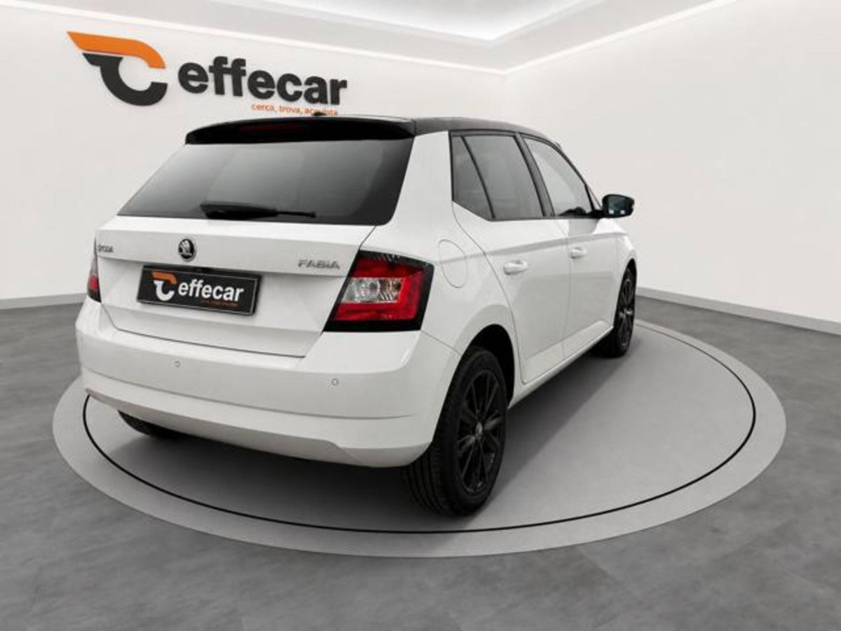 Skoda Fabia 1.4 TDI 75 CV Executive (6)
