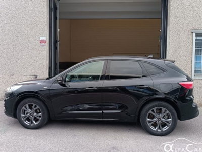 Ford Kuga 2.5 Full Hybrid 190 CV CVT 2WD ST-Line Design (19)